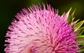 Depending upon your particular scenario the doctor may determine you have to quit taking Inderal or your dosage will certainly be reevaluated to make certain you reward from the treatment prescribed.