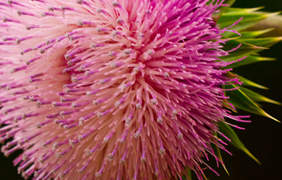 Inderal is supposed to be taken just by people diagnosed with hypertension or some various other associated disorders.