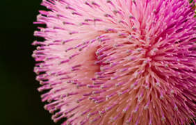 You might need to temporarily stop making use of propranolol if you really need to have any kind of type of surgical treatment.